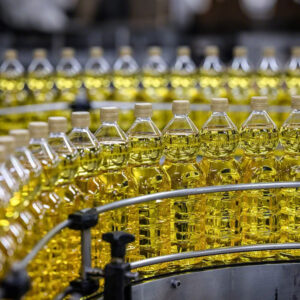 GF18-6 Edible Oil Filling Machine | 5000BPH Automatic Bottling