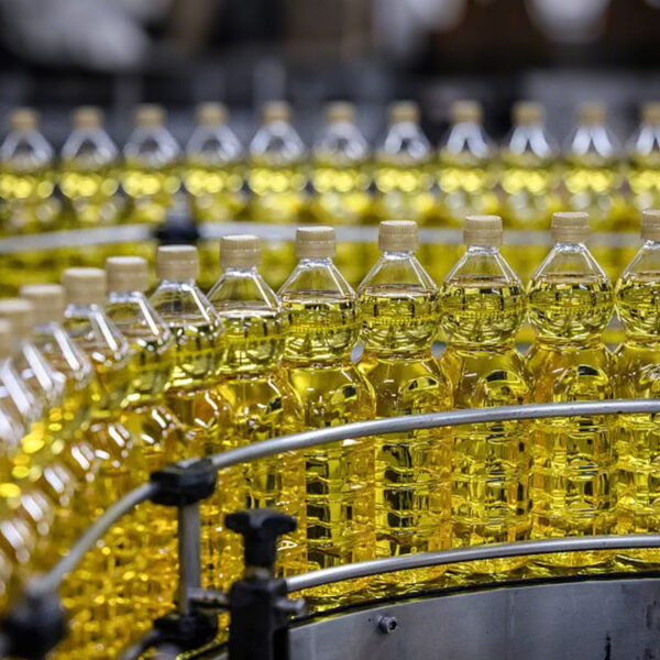GF18-6 Edible Oil Filling Machine | 5000BPH Automatic Bottling