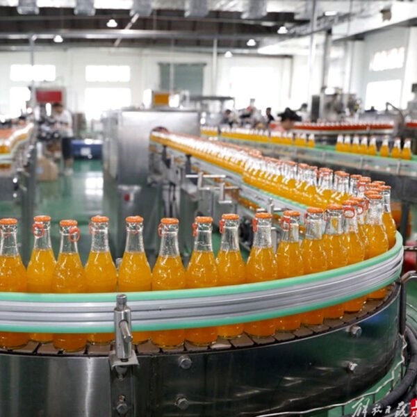 DCGF18-18-6 Top Selling Products Carbonated Beverage Filler